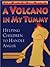A Volcano in My Tummy by Warwick Pudney