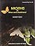 Moths of Bihar and Jharkhan...