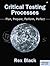 By Rex Black - Critical Testing Process: Plan, Prepare, Perform, Perfect: 1st (first) Edition