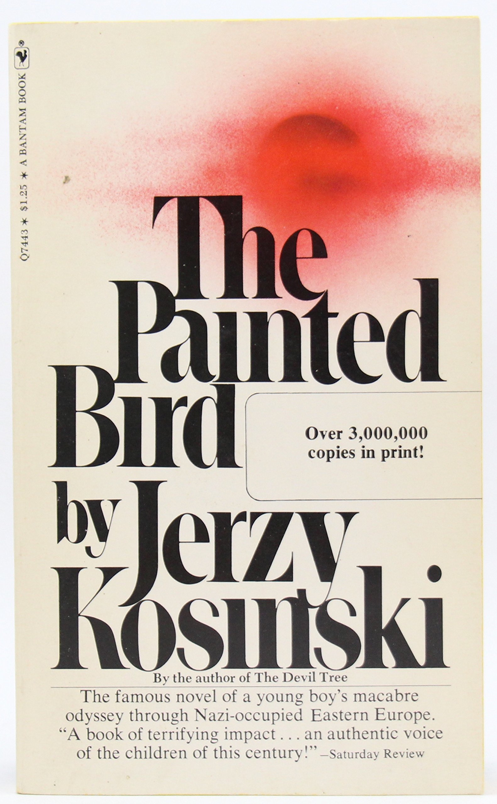 The Painted Bird / Disptaches