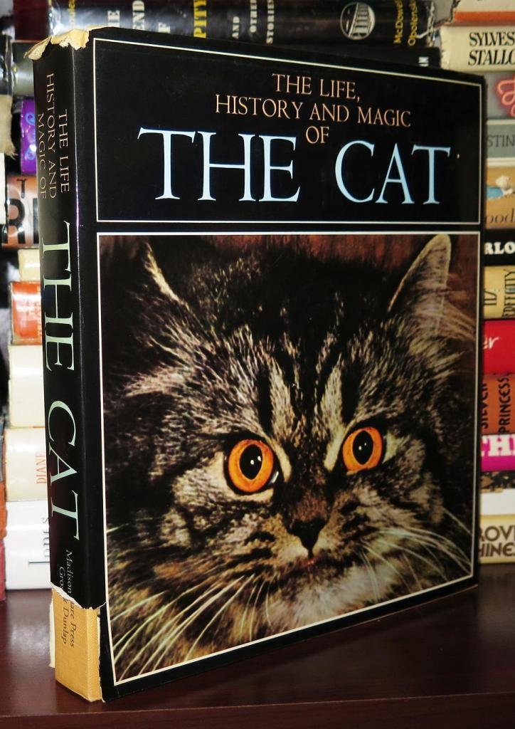 The Life, History, and Magic of the Cat (Paperback)