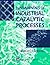 Fundamentals of industrial catalytic processes (1997-10-23)