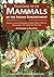 Field Guide to the Mammals of the Indian Subcontinent: Where to Watch Mammals in India, Nepal, Bhutan, Bangladesh, Sri Lanka, and Pakistan (Natural World) by K. K. Gurung (1998-07-02)