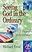 Seeing God in the Ordinary: A Theology of the Everyday