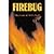 Firebug by Mitchell, Marianne [Boyds Mills Press, 2004] Hardcover [Hardcover]