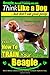 By Mr Paul Allen Pearce Beagle, Beagle Training AAA AKC by Mr Paul Allen Pearce