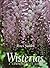 Wisterias: A Comprehensive Guide by Peter Valder (May 01,1995)