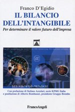 Il Bilancio Dell'Intangibile (Paperback)