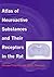 Atlas of Neuroactive Substances and Their Receptors in the Rat by Masaya Tohyama (1998-05-30)