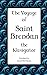 The Voyage of Saint Brendan: The Navigator by Mr Gerard Michael McNamara (2013-08-04)