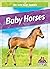 Baby Horses
