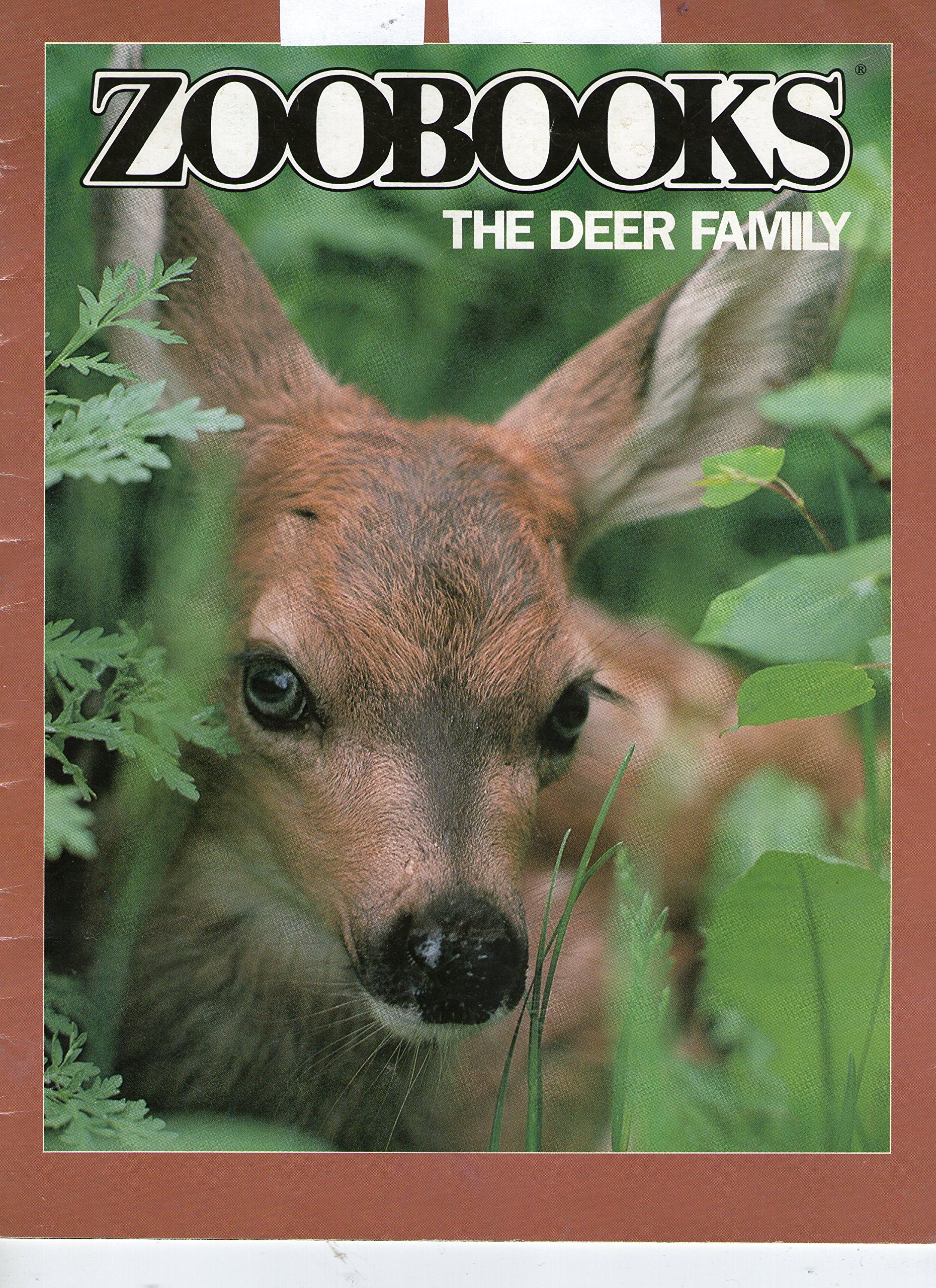 Zoobooks (The deer family., Volume 5 No. 4)
