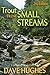 Trout from Small Streams by Dave Hughes (2014-03-01)
