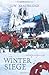 The Winter Siege by D. W. Bradbridge (2013-09-23)