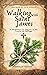 Walking With Saint James by Zebulun Mattos