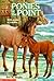 Ponies at the Point (Animal Ark #10)