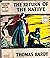 1920S THOMAS HARDY RETURN OF THE NATIVE WITH GREAT DUST JACKET CLASSIC GIFT IDEA [Hardcover] THOMAS HARDY