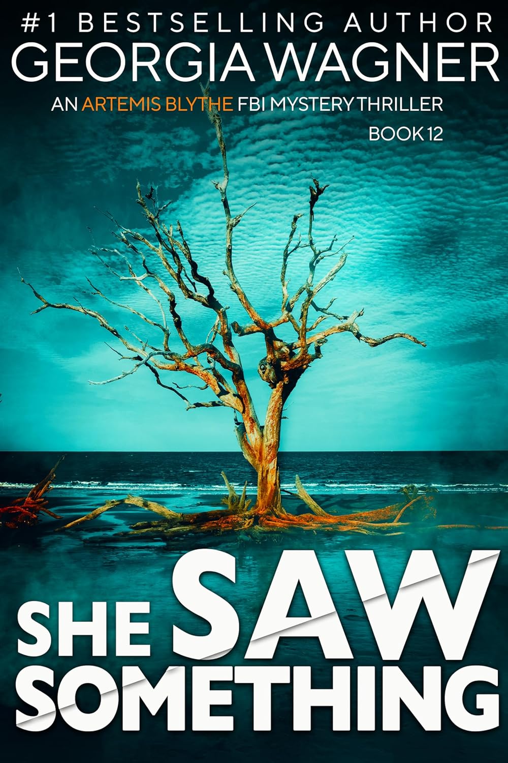 She Saw Something (Artemis Blythe #12)