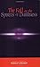 The Fall of the Spirits of Darkness by Rudolf Steiner (1995-05-04)