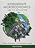 Intermediate Microeconomics and Its Application (Book Only) by Nicholson, Walter, Snyder, Christopher M. (August 6, 2014) Hardcover