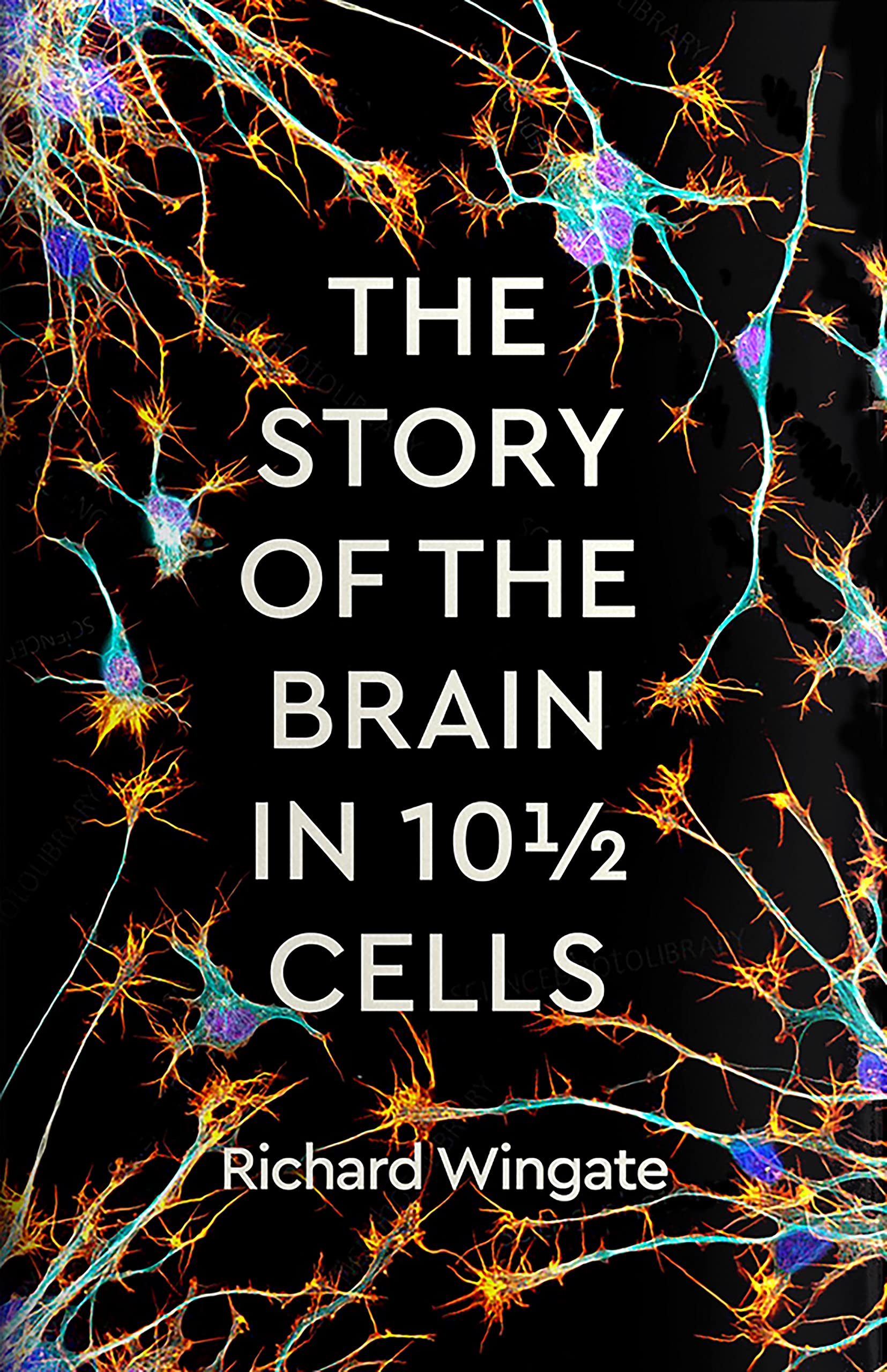 The Story of the Brain in 10½ Cells (Paperback)