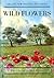 Wild Flowers