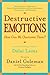 Destructive Emotions: A Scientific Dialogue with the Dalai Lama by Daniel P Goleman Ph.D. (2004-03-01)