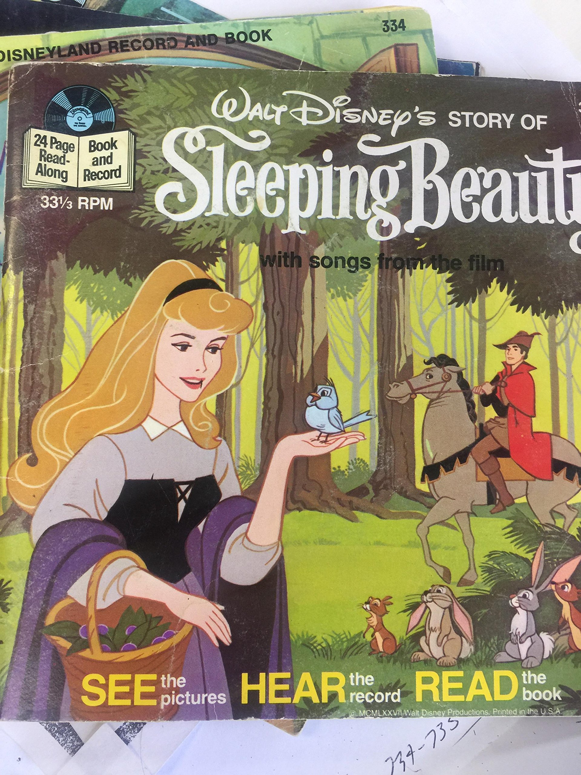 Walt Disney's Story of Sleeping Beauty (Book and Record) (See the Pictures; Hear the Record; Read the Book, 301)