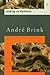 Looking On Darkness by André Brink (15-Apr-1993) Paperback