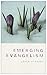 Emerging Evangelism by John Finney (2011-01-31)