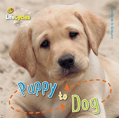 Puppy to Dog (LifeCycles) by Camilla de la Bedoyere (2011-01-07)