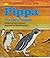 Pippa The Fairy Penguin