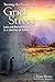 Turning the Corner on Grief Street: Loss and Bereavement as a Journey of Awakening by Terri Daniel (1-Mar-2014) Paperback