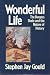 Wonderful Life