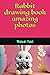 Rabbit drawing book amazing...