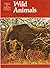 Wild Animals: Pride of Sout...