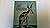 Joey kangaroo, by Patricia K Miller