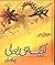 Aik hi Boli (Phulkaari ) by Ashfaq Ahmed