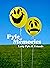 Pyle of Memories