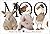 Moo[MOO][Board Books]