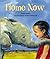 Home Now by Lesley Beake (2007-02-01)
