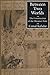 Between Two Worlds: The Construction of the Ottoman State by Kafadar, Cemal (1996) Paperback