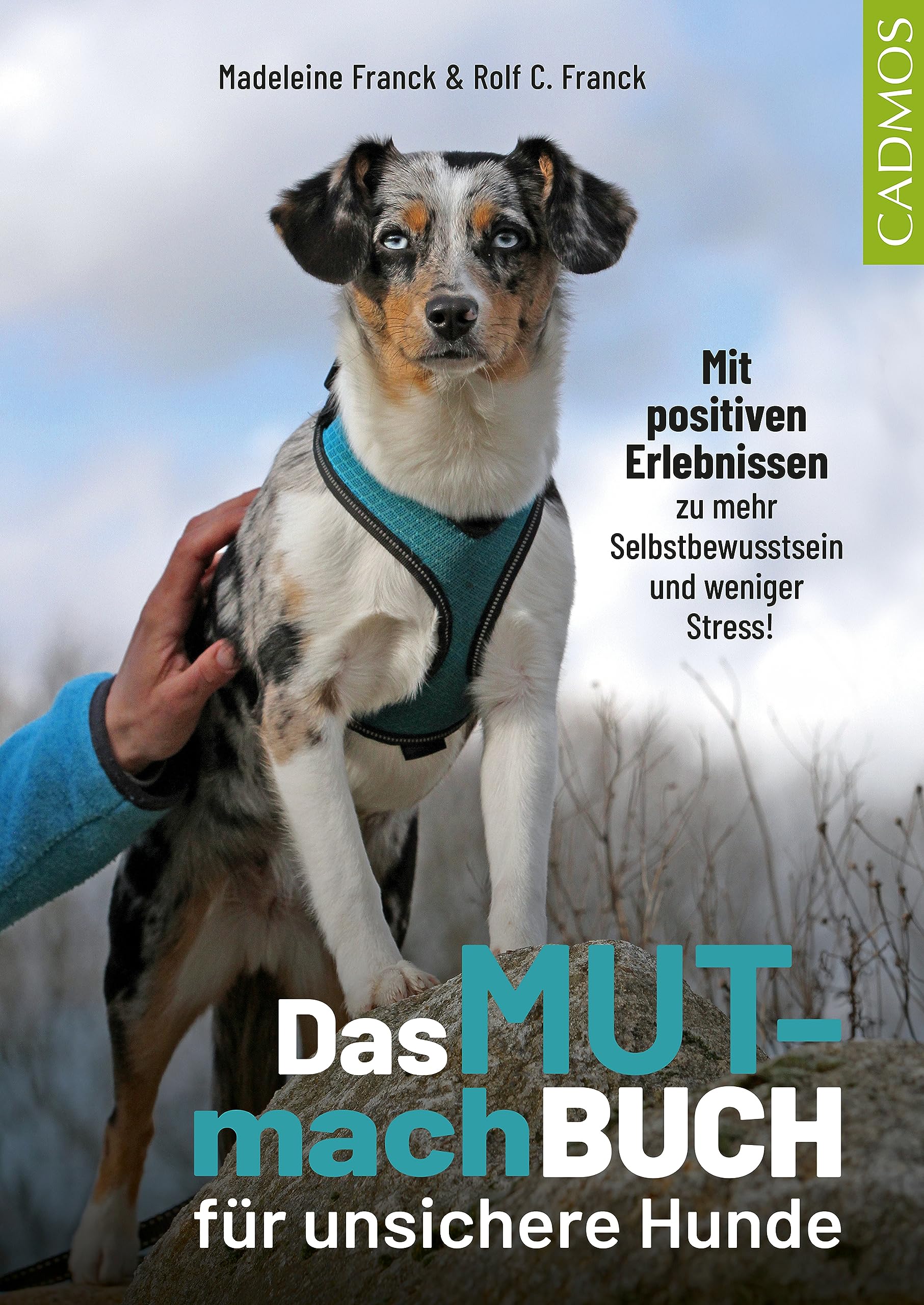 Das Mutmachbuch für unsichere Hunde: Mit positiven Erlebnissen zu mehr Selbstbewusstsein und weniger Stress (Haltung und Erziehung) (German Edition)