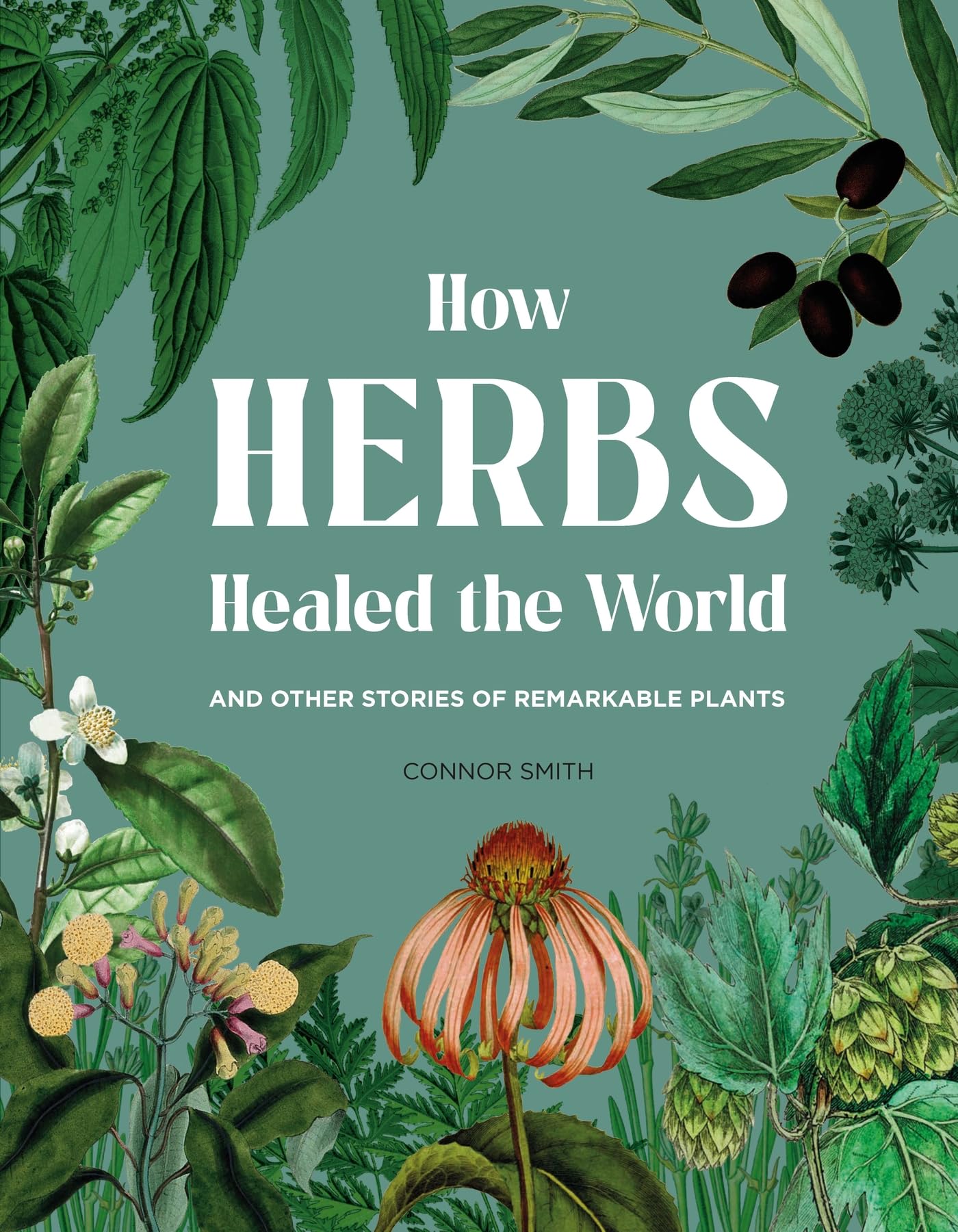How Herbs Healed the World: And Other Stories of Remarkable Plants (Kindle Edition)