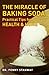 The Miracle of Baking Soda: Practical Tips for Health & Home by Dr. Penny Stanway (2012-02-07)