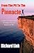 [(From the Pit to the Pinnacle)] [By (author) Richard Link ] published on (October, 2008)