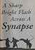 A Sharp Bright Flash Across a Synapse; Penn State York Litera... by Sterling Wright