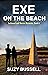Exe on the beach (Exeter Mysteries Book 6)