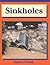 By Sandra Friend Sinkholes (1st First Edition) [Hardcover]