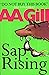 Sap Rising by A A Gill (1-Sep-1997) Paperback